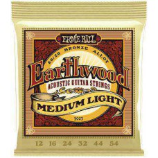 Snaren Ernie Ball Earthwood Medium Light 12-54