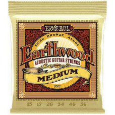 Snaren Ernie Ball Earthwood Medium 13-56