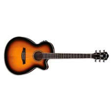 Ibanez Akoestische gitaar AEG10IIVS